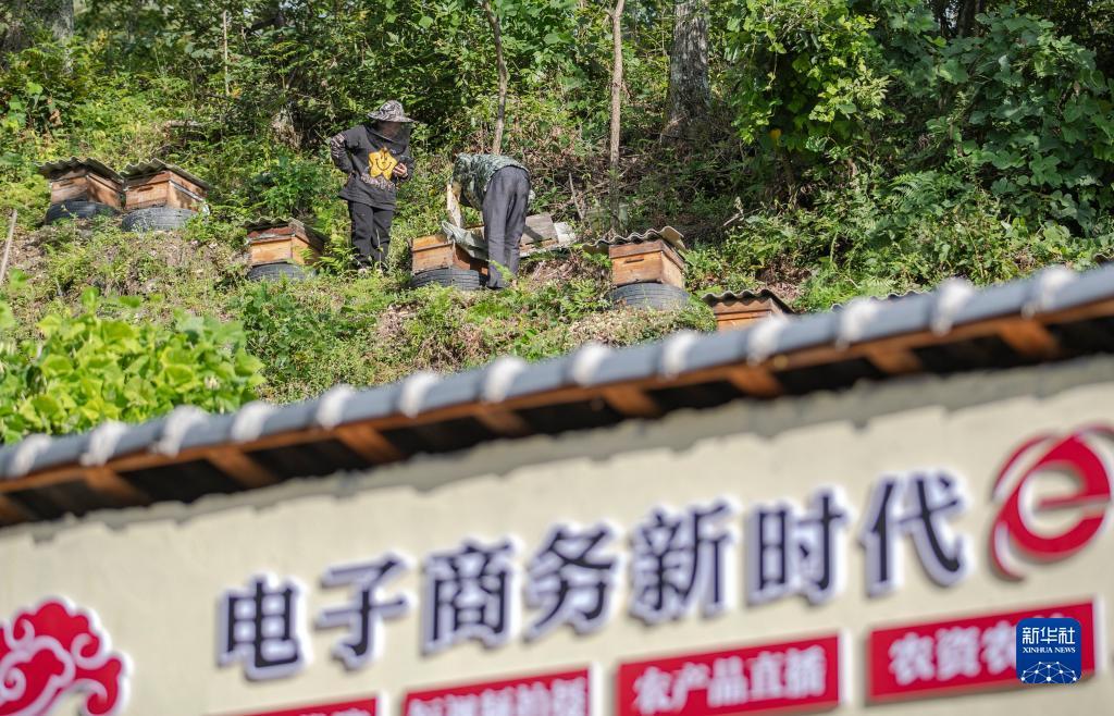 葡京官方网